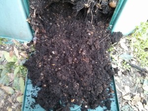 Compost pronto in uscita dal composter