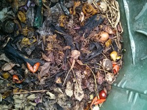 Processo di decomposizione nel composter