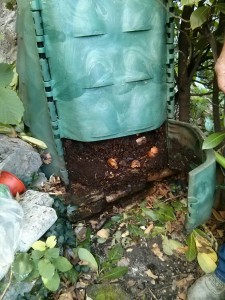 Processo di maturazione sul fondo del composter