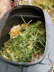 Materiali verdi a compostaggio