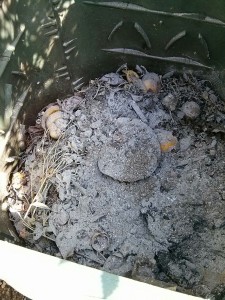Cenere sparsa sui materiali nella compostiera