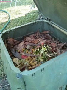 Interno di un composter