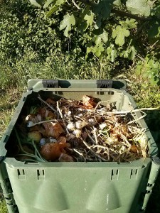 Interno di un composter