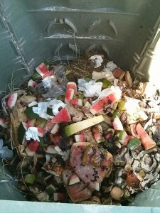 Interno di un composter