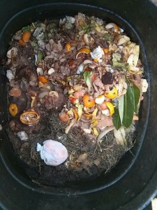 Interno di un composter