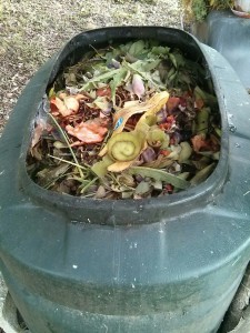 Interno di un composter