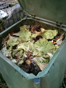 Interno di un composter