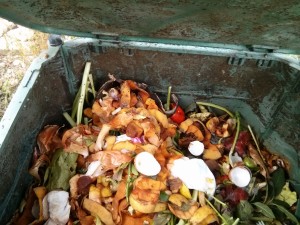 Scarti di ortaggi e bucce di frutta