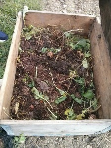 Cassa di Compostaggio