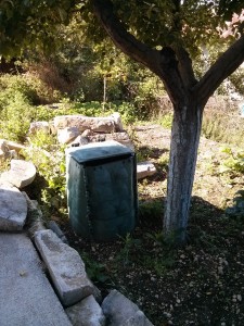 Composter all'ombra di un albero