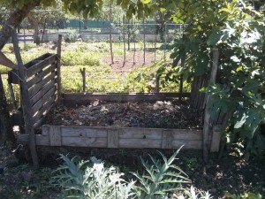 Cassa di compostaggio all'ombra di alberi