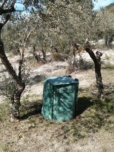 Composter all'ombra di 2 arbusti di ulivo