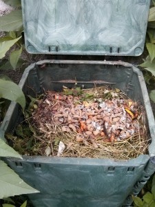 Bucce di ortaggi con piccole potature e sfalci d'erba