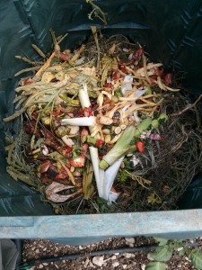 Scarti di ortaggi con  sfalci d'erba