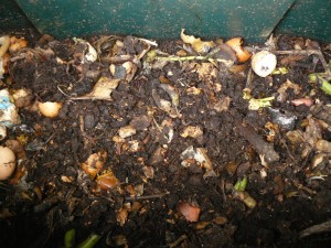 Terreno sui materiali in decomposizione