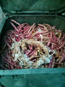 Materiale più secco