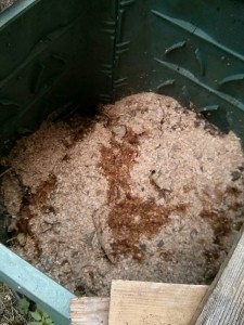 Segatura di legna naturale sparsa sui materiali nella compostiera
