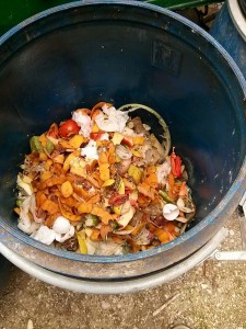 Bucce di frutta e scarti di ortaggi