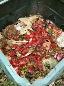 Scarti di pomodori e di ortaggi