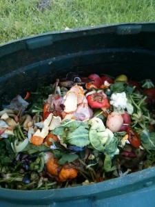 Scarti e bucce di frutta e di ortaggi